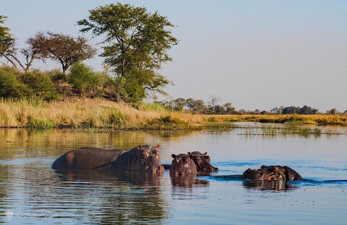 Bwabwata National Park