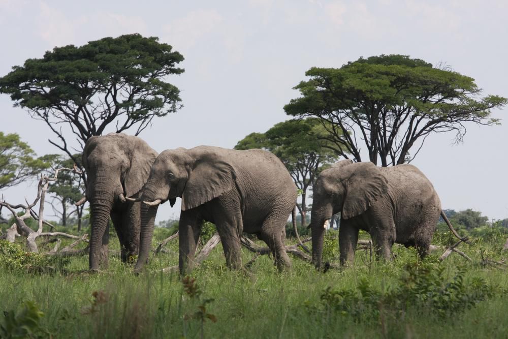 Mudumu National Park